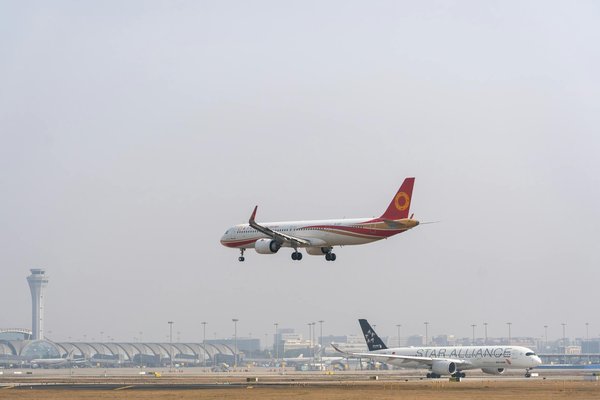 Quelles sont les meilleures techniques pour cuisiner en camping sans feu?